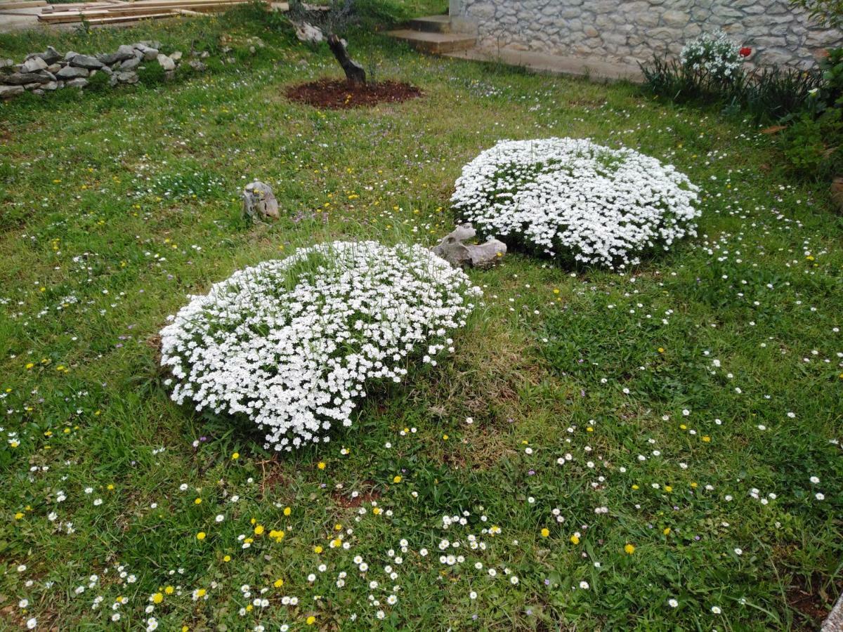 Apartman Tiziana Zadar Luaran gambar